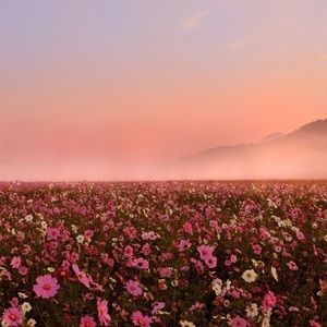 Meet your Posher, Skylar